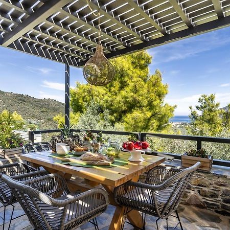 Villa Politimi Luxury Retreat سكوبيلوس تاون المظهر الخارجي الصورة