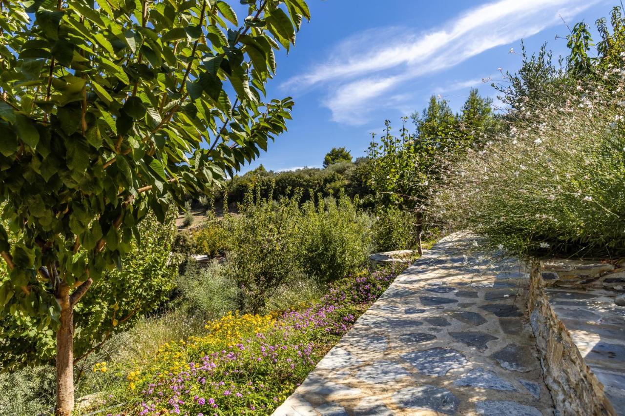 Villa Politimi Luxury Retreat سكوبيلوس تاون المظهر الخارجي الصورة